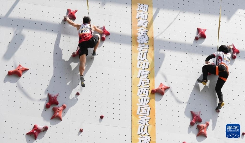 与印度尼西