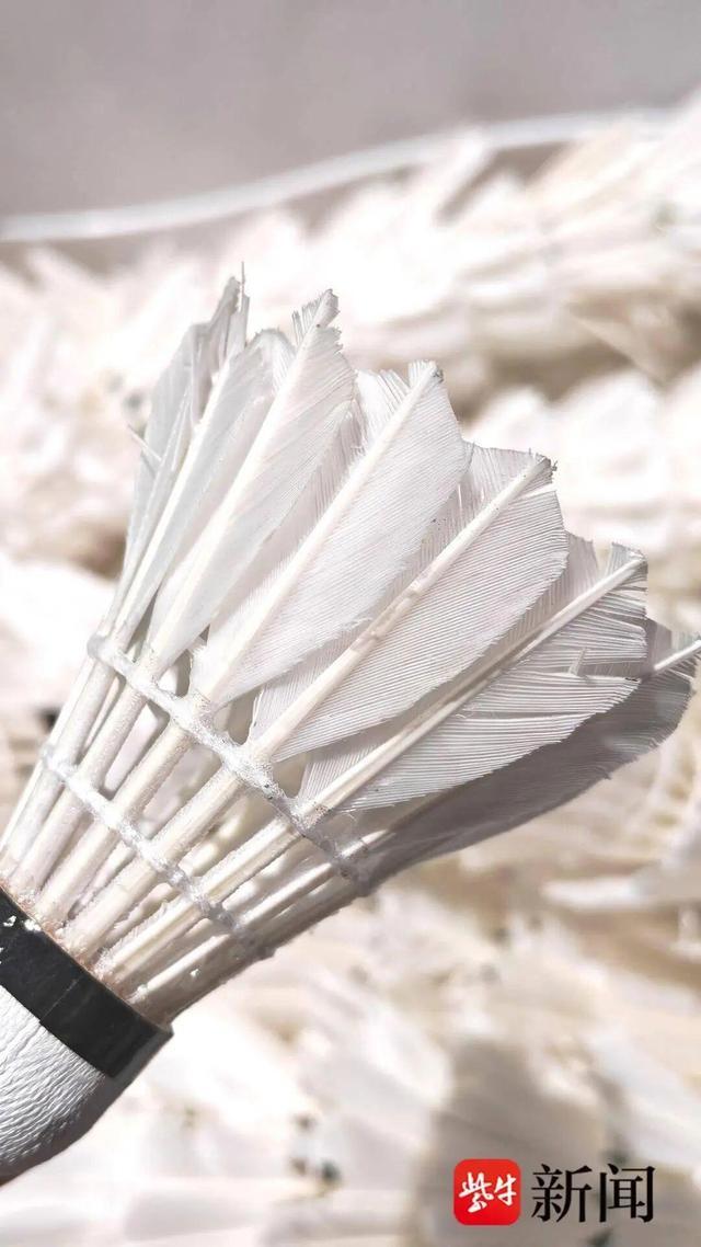 比如灰鹅要 比如灰鹅要